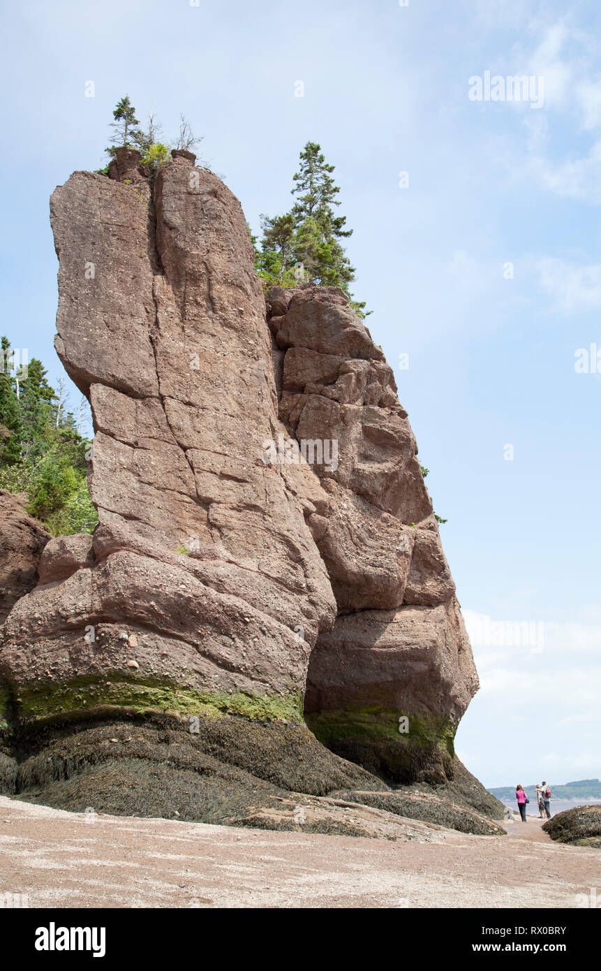La forte érosion des roches dans les rochers de Hopewell park célèbre pour sa très haute marée (Nouveau-Brunswick, Canada). Banque D'Images