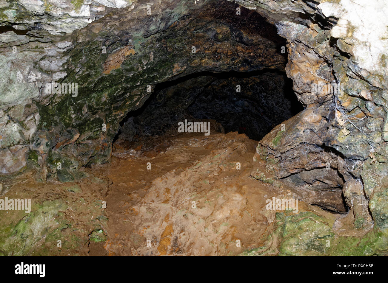 Plage de trou ou trou du diable grotte sur le sud-est de l'éperon de l'escroc Peak, collines de Mendip, Somerset, UK Banque D'Images