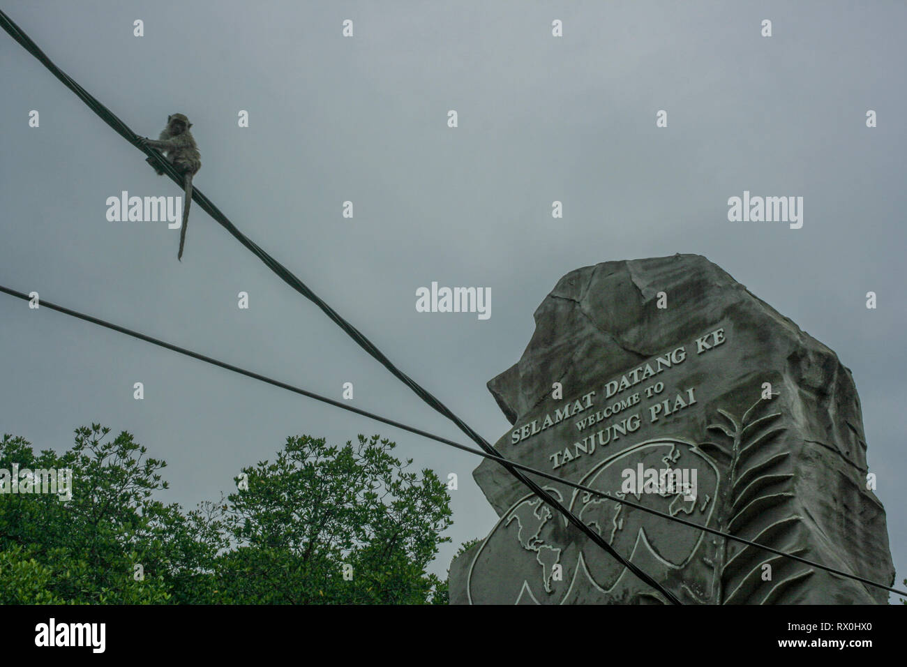 Macaque à Tanjung Piai, la pointe la plus méridionale de l'Asie continentale, Pontien, Malaisie Banque D'Images