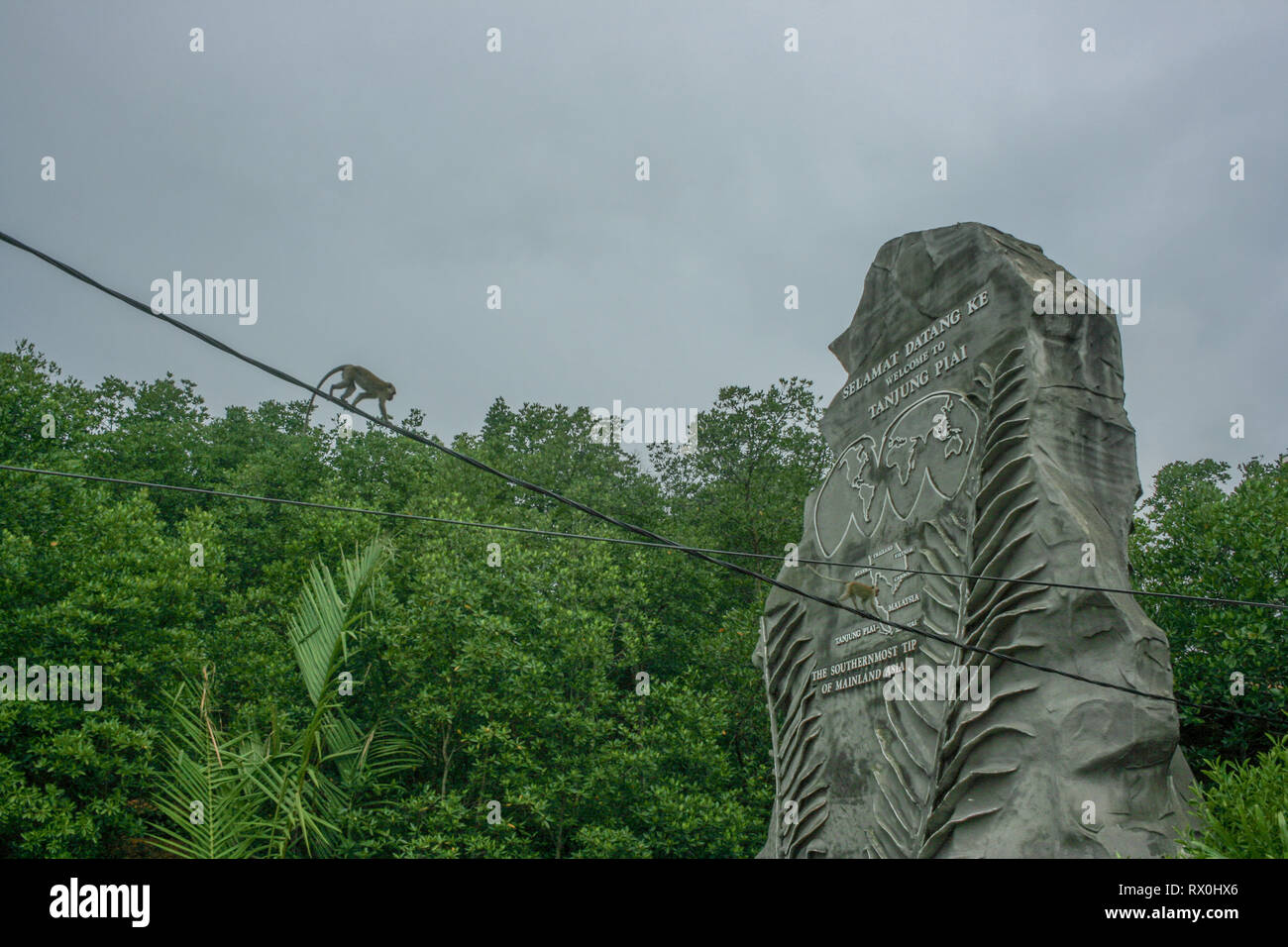 Macaque à Tanjung Piai, la pointe la plus méridionale de l'Asie continentale, Pontien, Malaisie Banque D'Images