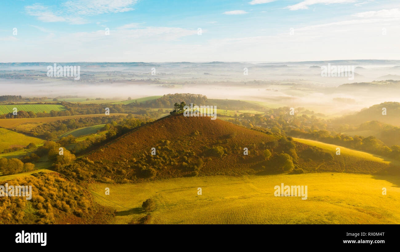 Colmers Hill Bridport Dorset, Angleterre Banque D'Images