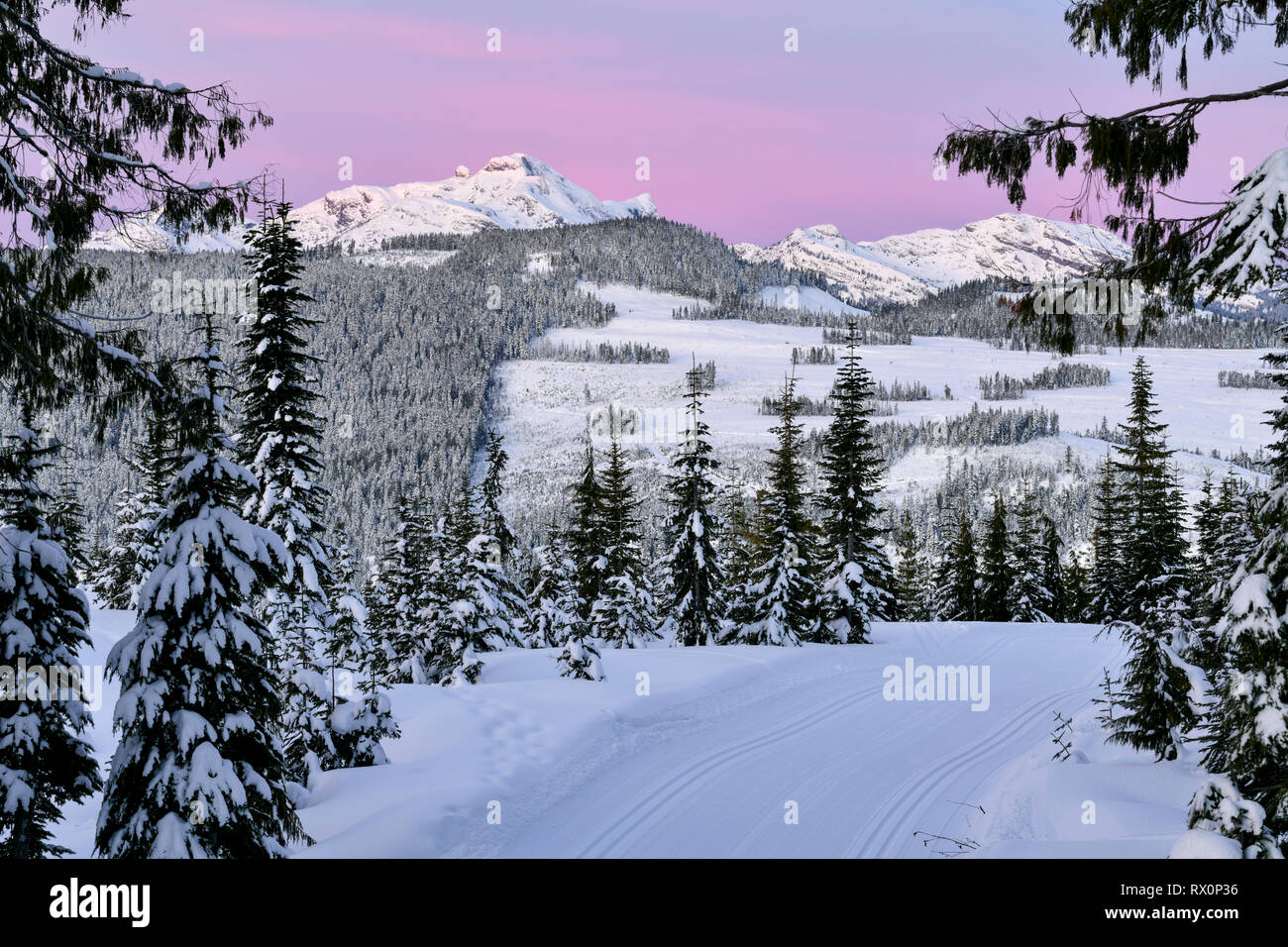 Mount Washington Alpine Resort, l'île de Vancouver, BC Canada Banque D'Images