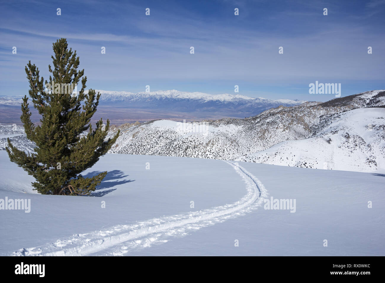 Le ski de piste de la peau vers le haut sur la Montagne de la table à l'extérieur de l'évêque en Californie Banque D'Images