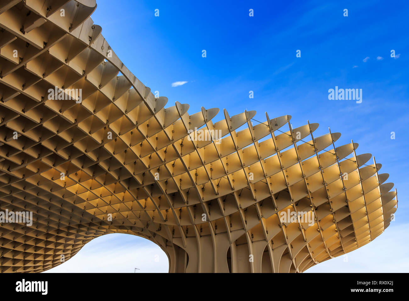 Séville, Espagne - Dec 2018 : bas en haut Vue de champignons de Séville , également connu sous le Metropol Parasol. Il a été conçu par l'architecte allemand Jurgen peut Banque D'Images