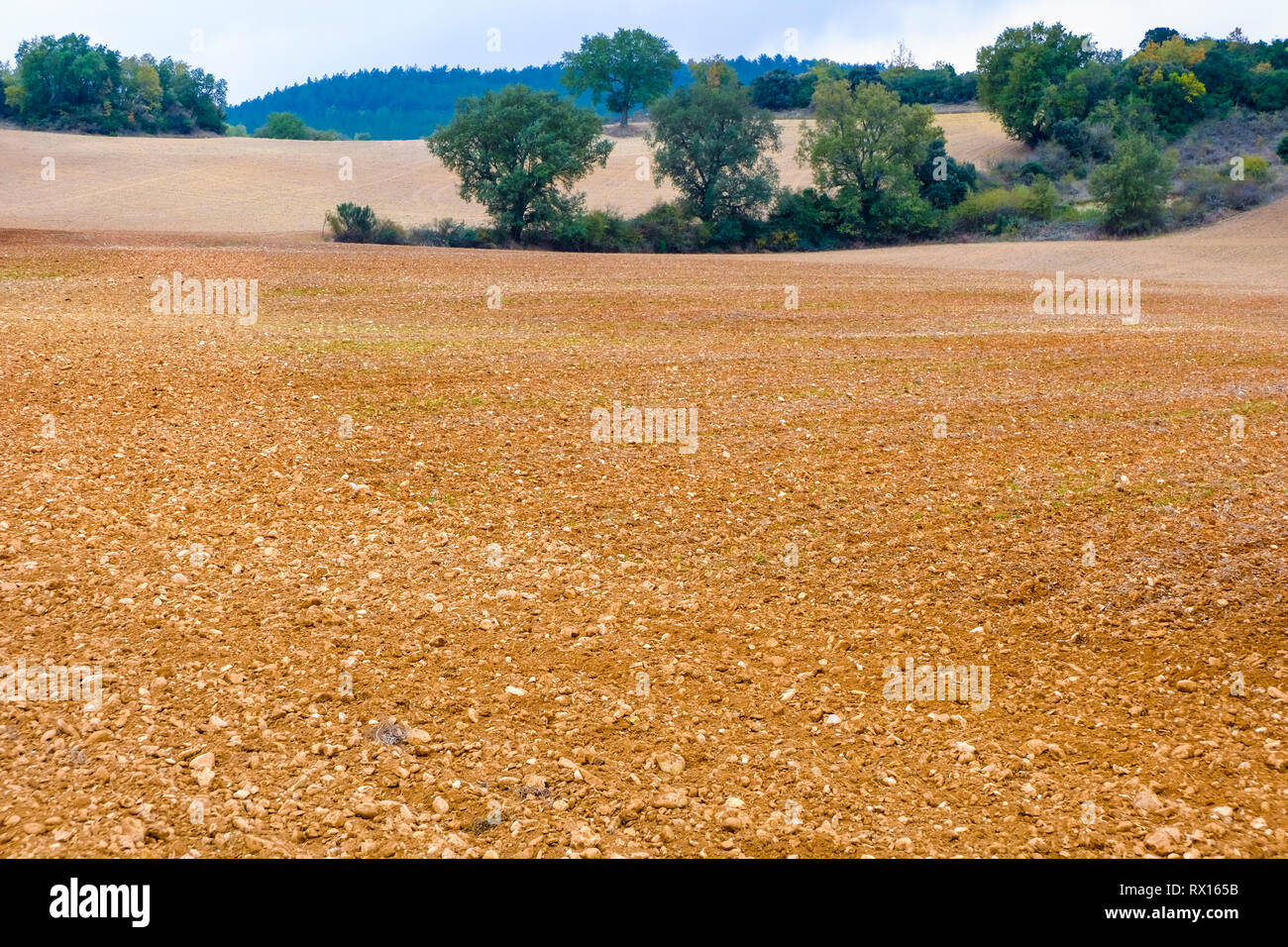 Terrain agricole. Banque D'Images