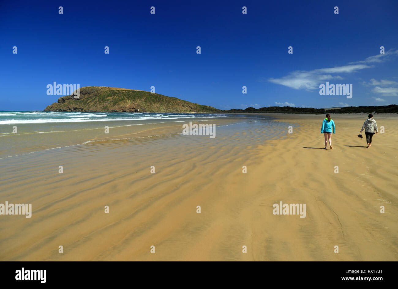 Cannibal Bay dans la Nouvelle Zélande Catlins Banque D'Images