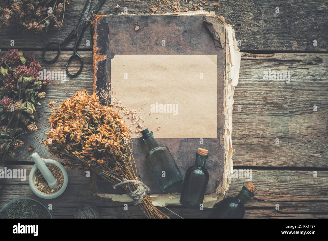 Bouteilles teinture, assortiment de plantes saines à sec, de vieux livres, mortier, des ciseaux. La médecine de fines herbes. De style rétro. Haut de la vue, télévision lay. Banque D'Images