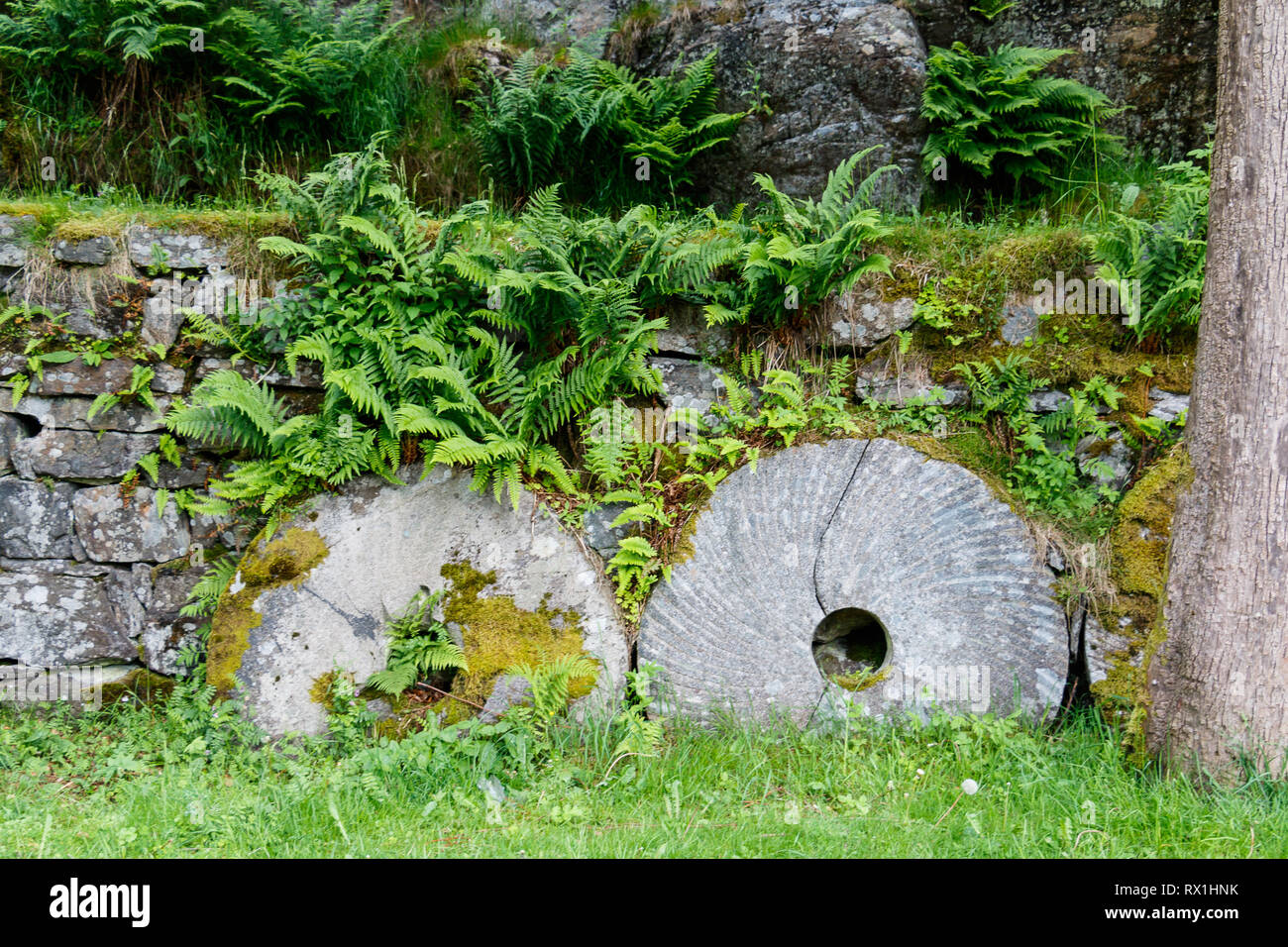 Les roues de moulin en pierre historique datant du 17ème siècle en Alvøen, une des plus anciennes communautés industrielles en Norvège, près de Bergen, Norvège Banque D'Images