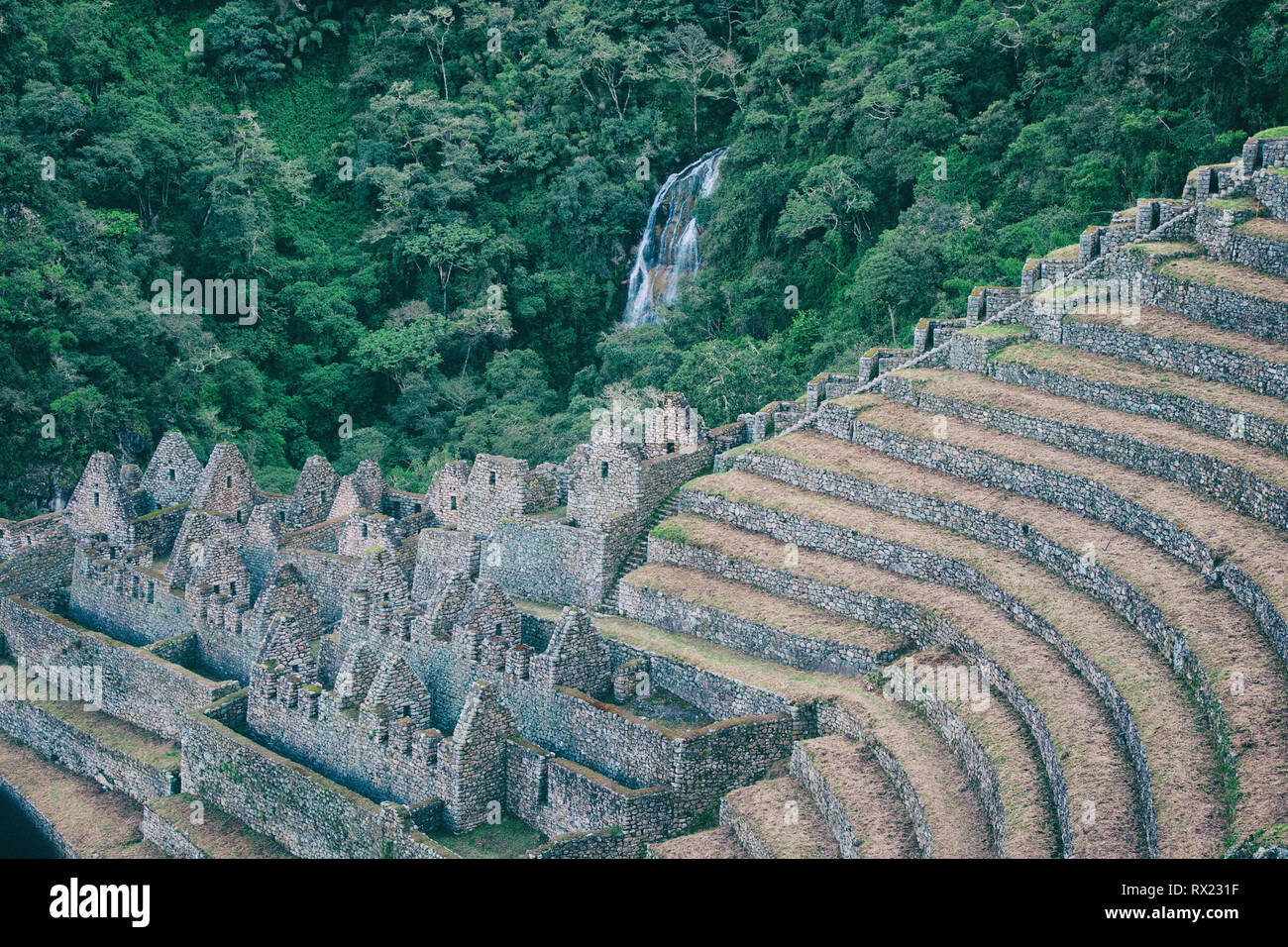 High angle view of old ruins par champ en terrasses contre des arbres Banque D'Images