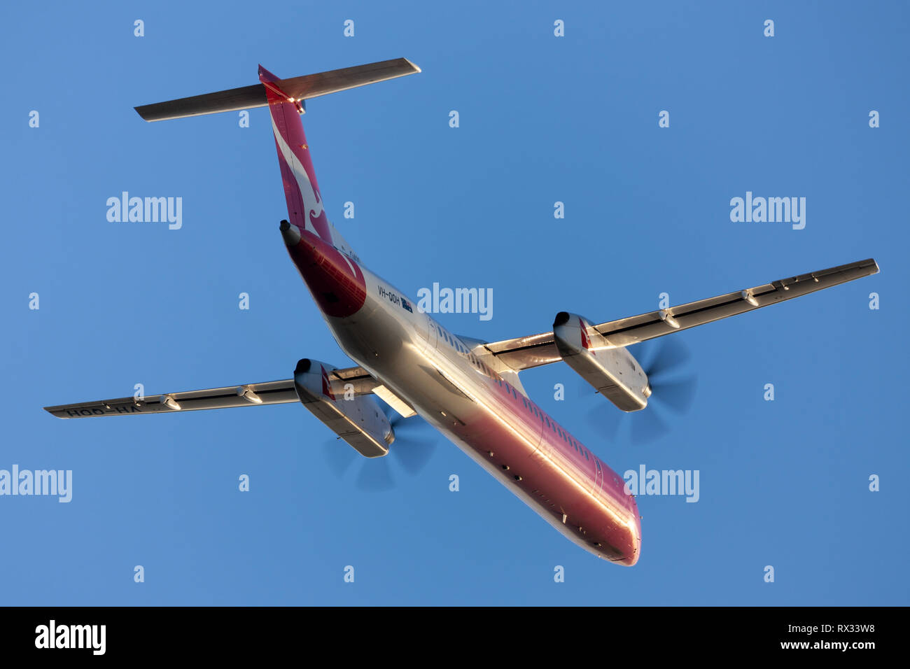 Bombardier DHC-8-402 Twin QantasLink turbopropulseurs avion régional décollant de l'aéroport d'Adélaïde. Banque D'Images
