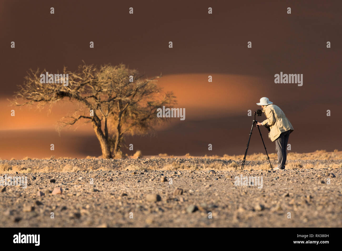Un photographe de prendre une image d'un arbre en Sossuvlei, la Namibie. Banque D'Images Un photographe de prendre une image d'un arbre en Sossuvlei, la Namibie. Banque D'Images