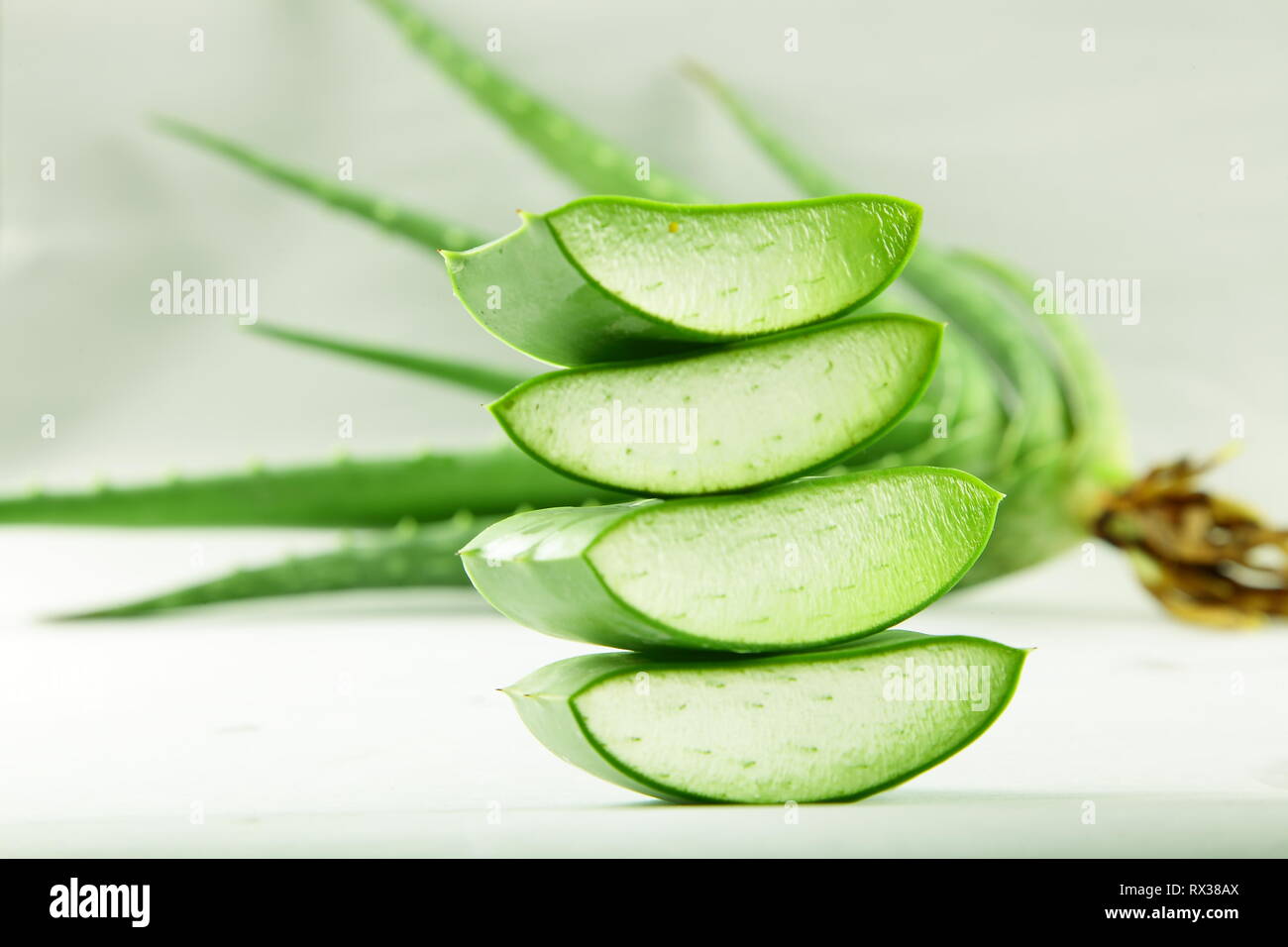 L'aloe vera biologique sauvage frais tranches de feuilles sur fond blanc Banque D'Images