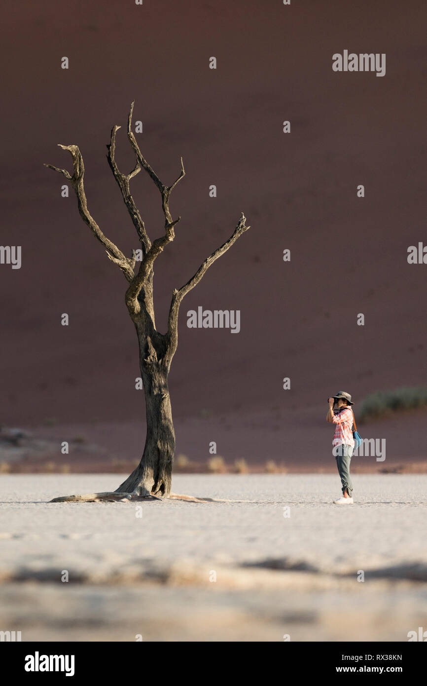 Un photographe de prendre une image d'un arbre en Sossuvlei, la Namibie. Banque D'Images Un photographe de prendre une image d'un arbre en Sossuvlei, la Namibie. Banque D'Images