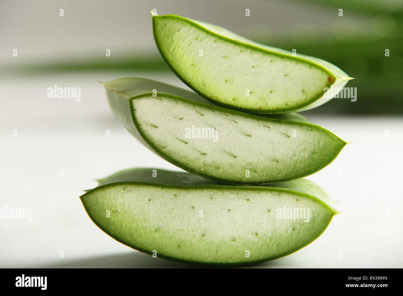 L'aloe vera biologique sauvage frais tranches de feuilles sur fond blanc Banque D'Images