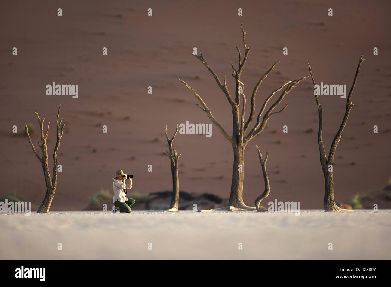 Un photographe de prendre une image d'un arbre en Sossuvlei, la Namibie. Banque D'Images Un photographe de prendre une image d'un arbre en Sossuvlei, la Namibie. Banque D'Images
