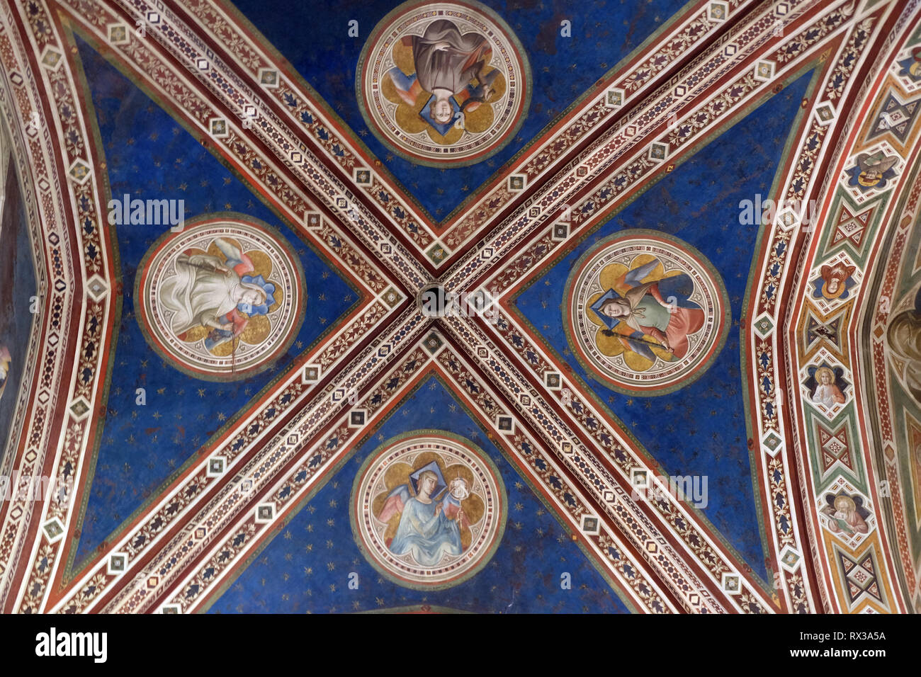 Plafond de la chapelle Baroncelli dans transept droit de la Basilique Santa Croce (Basilique de la Sainte Croix) - La célèbre église franciscaine à Florence, Italie Banque D'Images