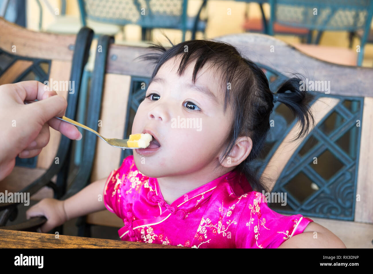 Cute little baby girl. Portrait of cute asian baby girl. Banque D'Images
