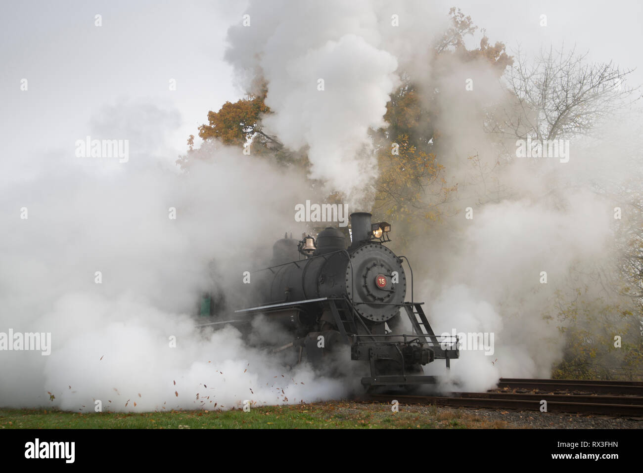 L'excursion d'automne Chehalis-Centralia Railroad train à vapeur. Olympia, Washington, USA. Banque D'Images