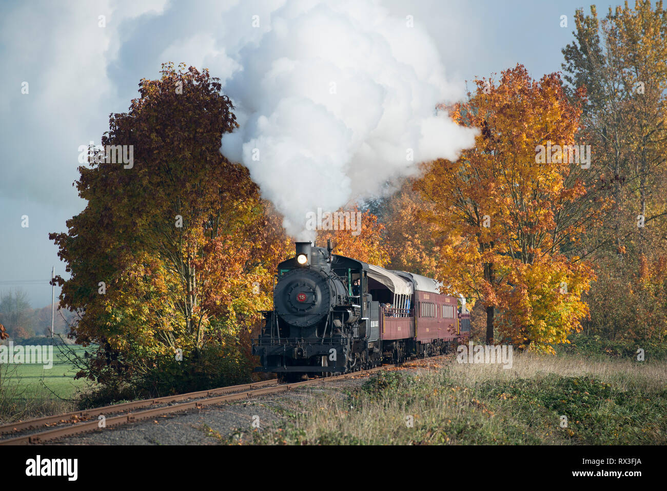 L'excursion d'automne Chehalis-Centralia Railroad train à vapeur. Olympia, Washington, USA. Banque D'Images