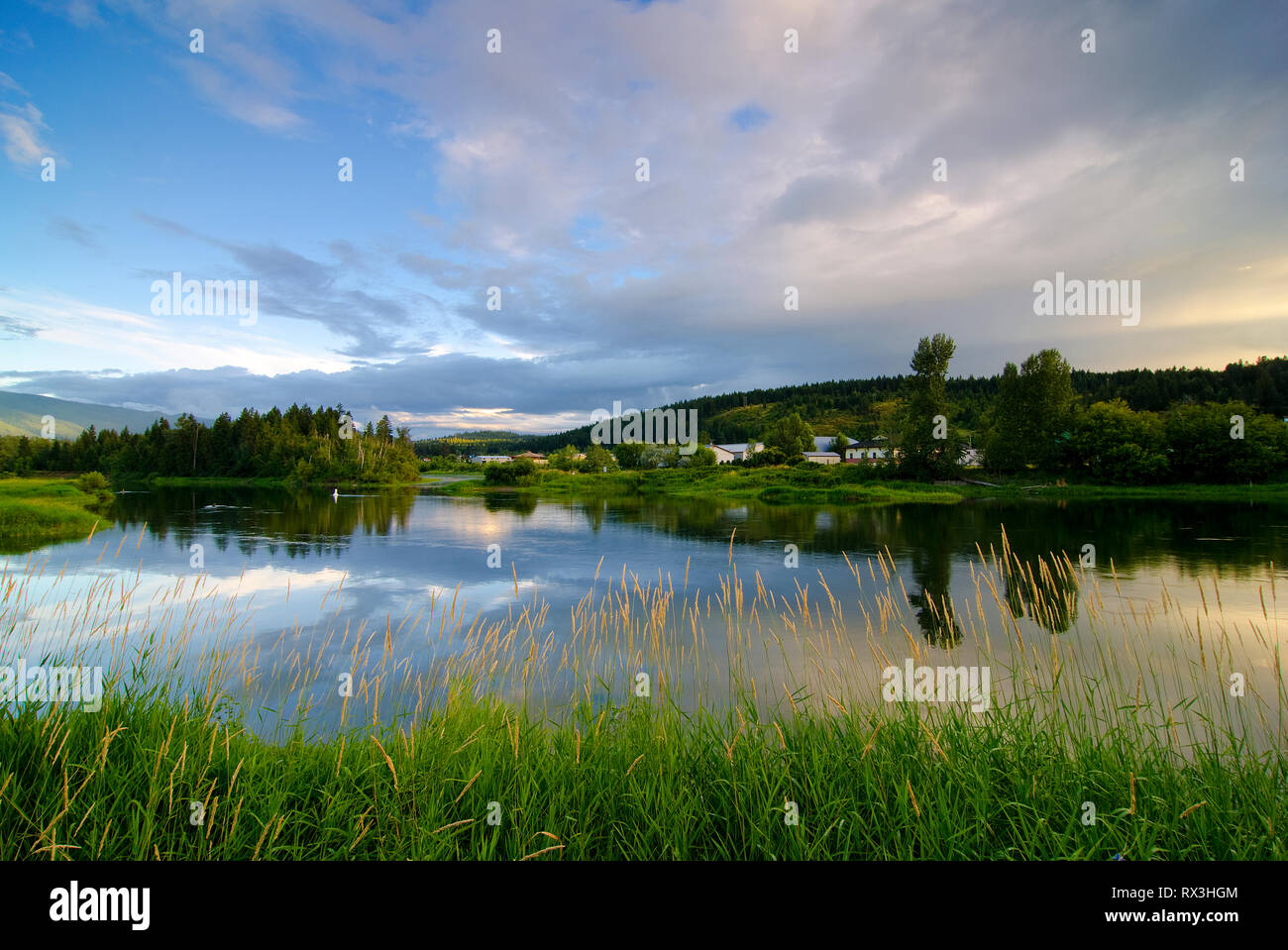 La rivière Shuswap à Enderby, dans la région de l'Okanagan en Colombie-Britannique, Canada Banque D'Images