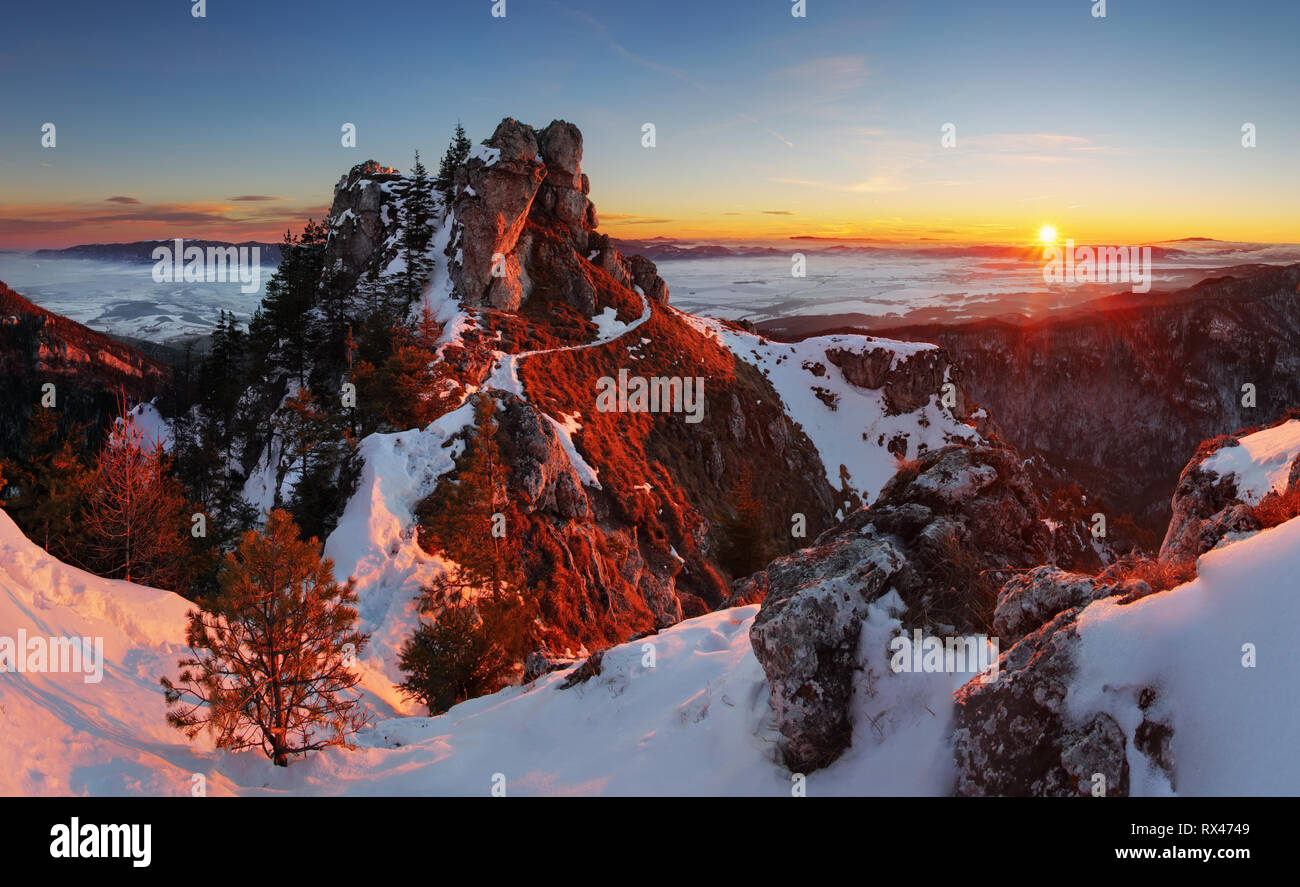 Avec le coucher du soleil d'hiver dans les forêts de Slovaquie Ostra pic Banque D'Images