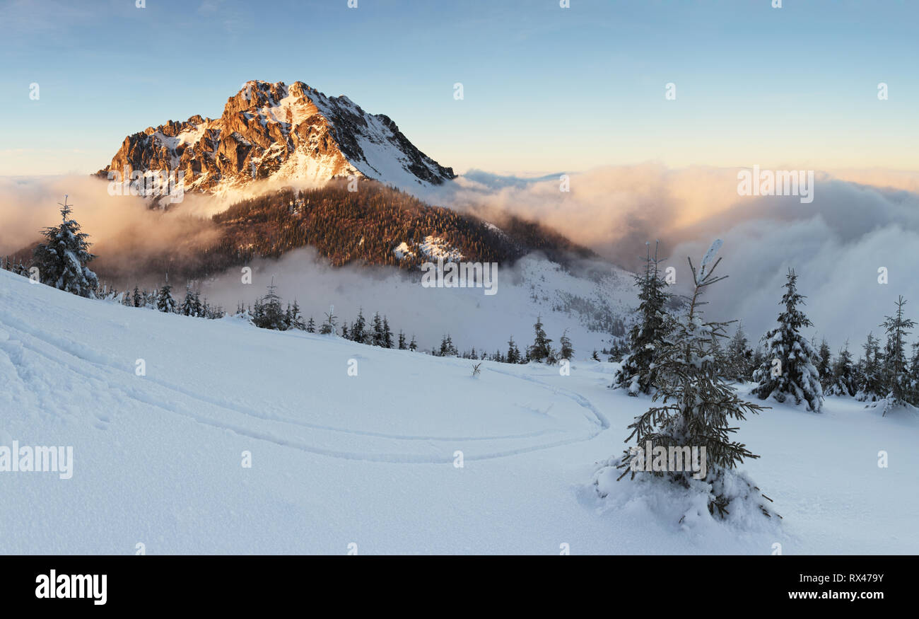 Paysage de montagne avec arbres d'hiver Banque D'Images