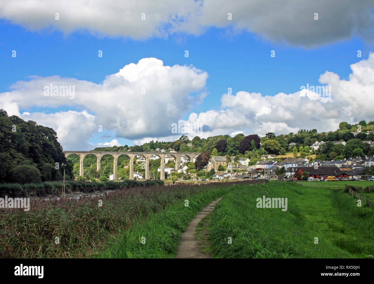 Calstock par Tamar River à Cornwall avec viaduc de chemin de fer Banque D'Images