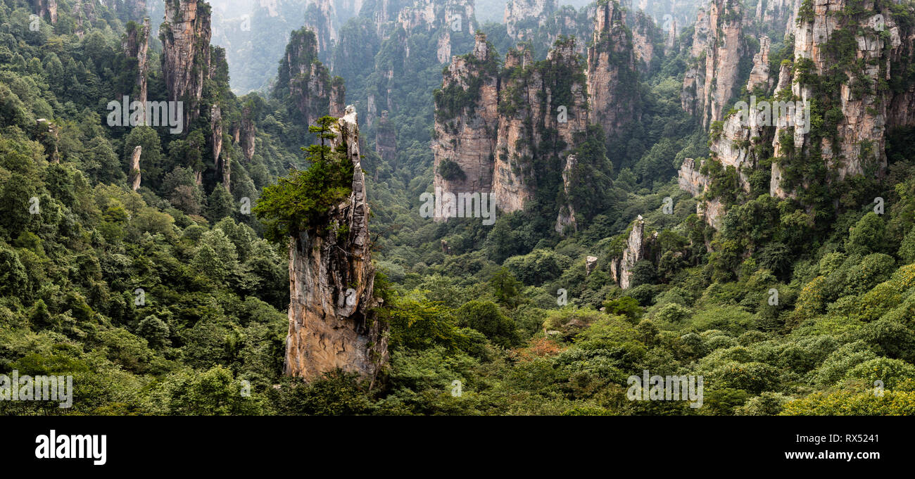 Le panorama a appelé les soldats de rassemblement dans la région du mont Tianzi dans le parc national de Zhangjiajie, Wulingyuan, Hunan, Chine. Parc national de Wulingyuan wa Banque D'Images