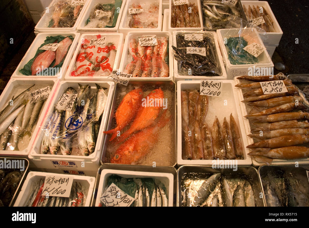 Les étals du marché aux poissons de Tsukiji Banque D'Images