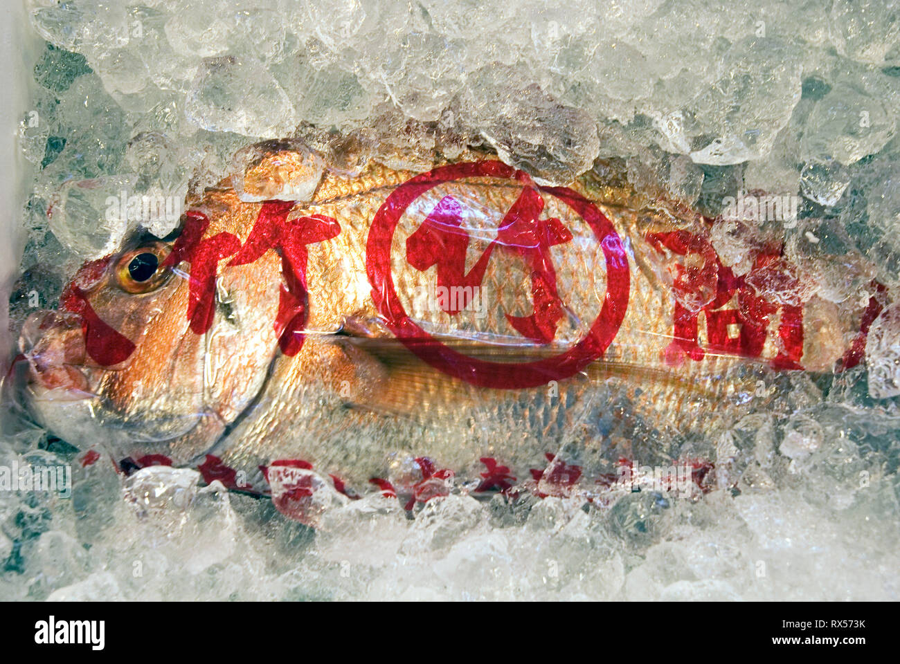 Les poissons dans un bac à glace à Tokyo Tsukiji fish market Banque D'Images