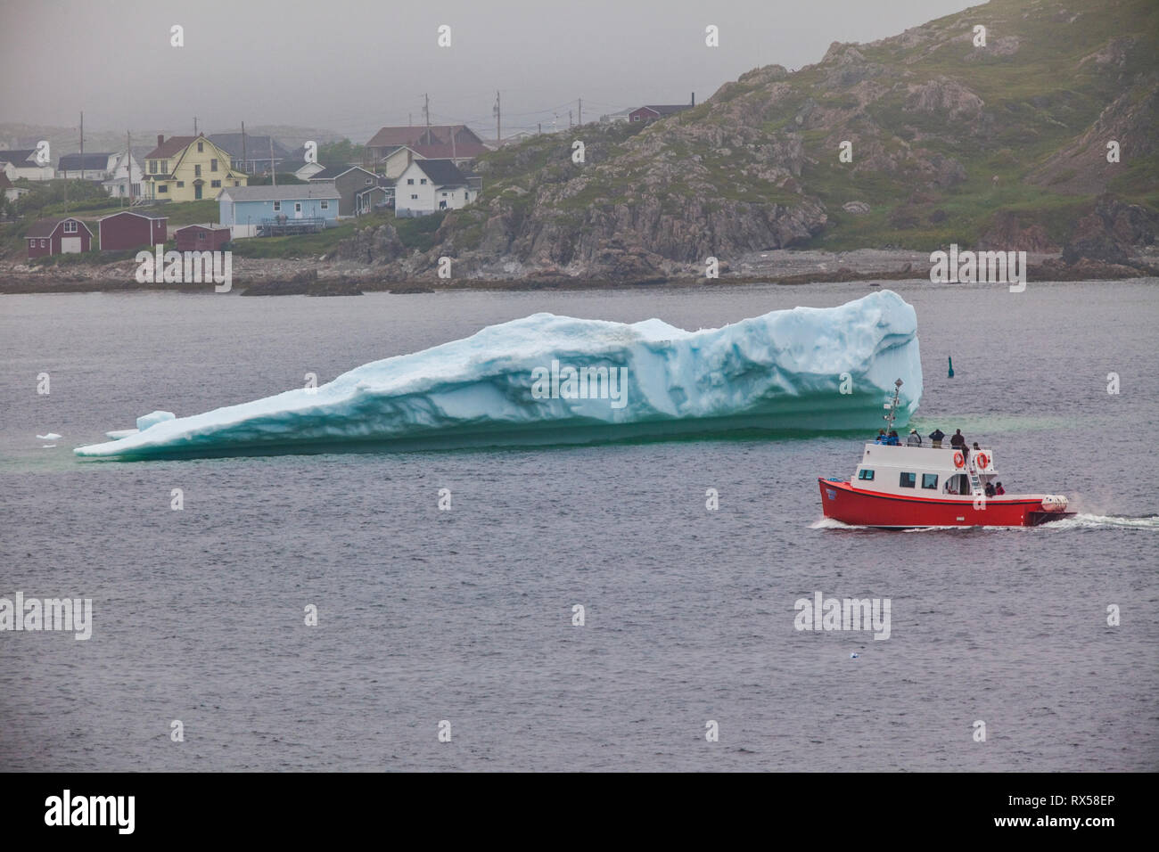 Twillignate iceberg, Terre-Neuve, Canada Banque D'Images