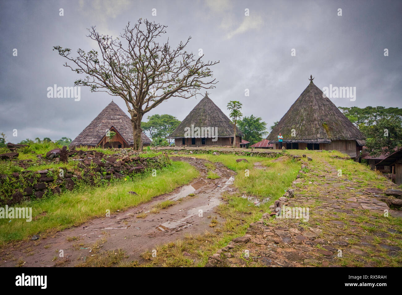 Village traditionnel France Ruteng Pu'u près de Ruteng sur l'île de Flores, en Indonésie Banque D'Images