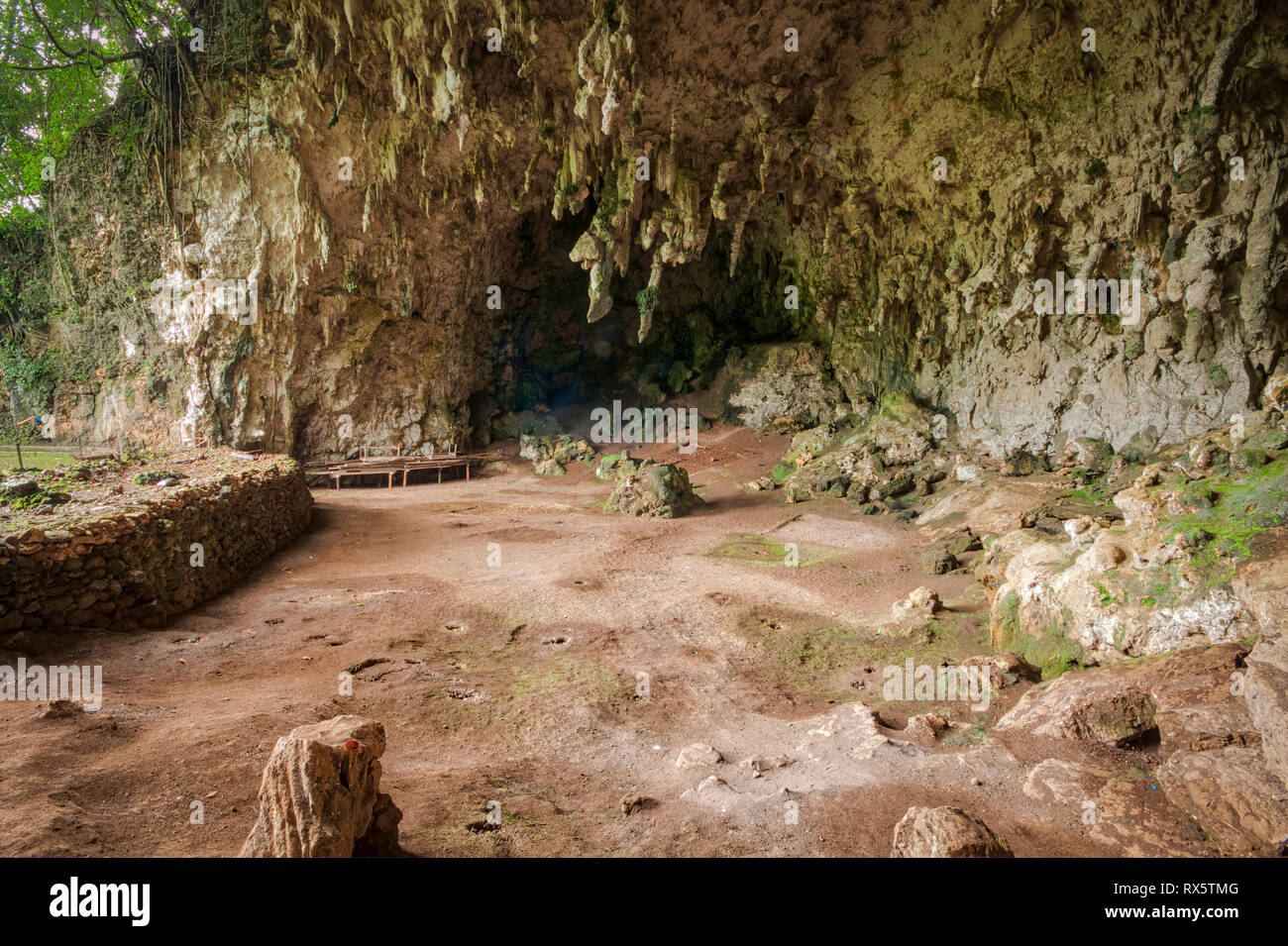 Le reste de l'Homo Floresiensis, une espèce dans le genre Homo, ont été découvertes en 2003 à Liang Bua sur l'île de Flores en Indonésie. Banque D'Images