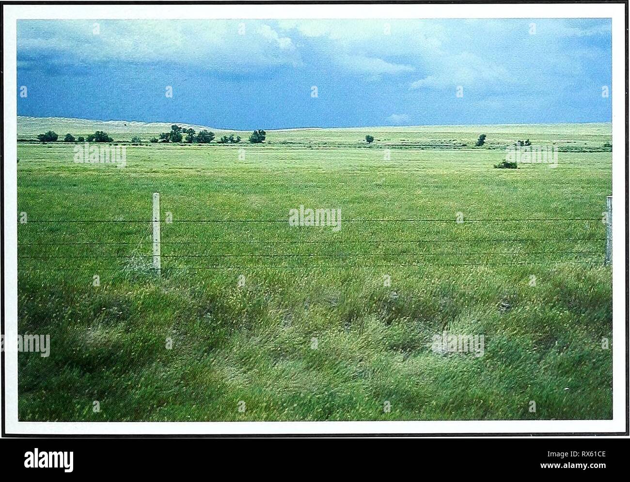 Quatre-vingts ans de la végétation et de quatre-vingts ans de la végétation et les changements de paysage dans les Grandes Plaines du nord : un dossier photographique eightyyearsofveg45klem Année : 2001 Rumford, Dakota du Sud Location Fall River Co., SD ; Sec. 6, R. 54 W., T.-N. 36 N. GPS UTM 4775673 606085 E. Environ 8 miles au nord-nord-ouest de Ardmore. D'Ardmore, le Dakota du Sud, vers le nord, à environ 6 milles sur le Dakota du Sud La route 71, puis tournez à gauche (nord-ouest) à 2 miles sur le Dakota du Sud l'autoroute 471 (route de comté 52). Point n'est à partir de la route près d'un stationnement de gravier qui a remplacé un de triage ferroviaire. 2 septembre Description Banque D'Images