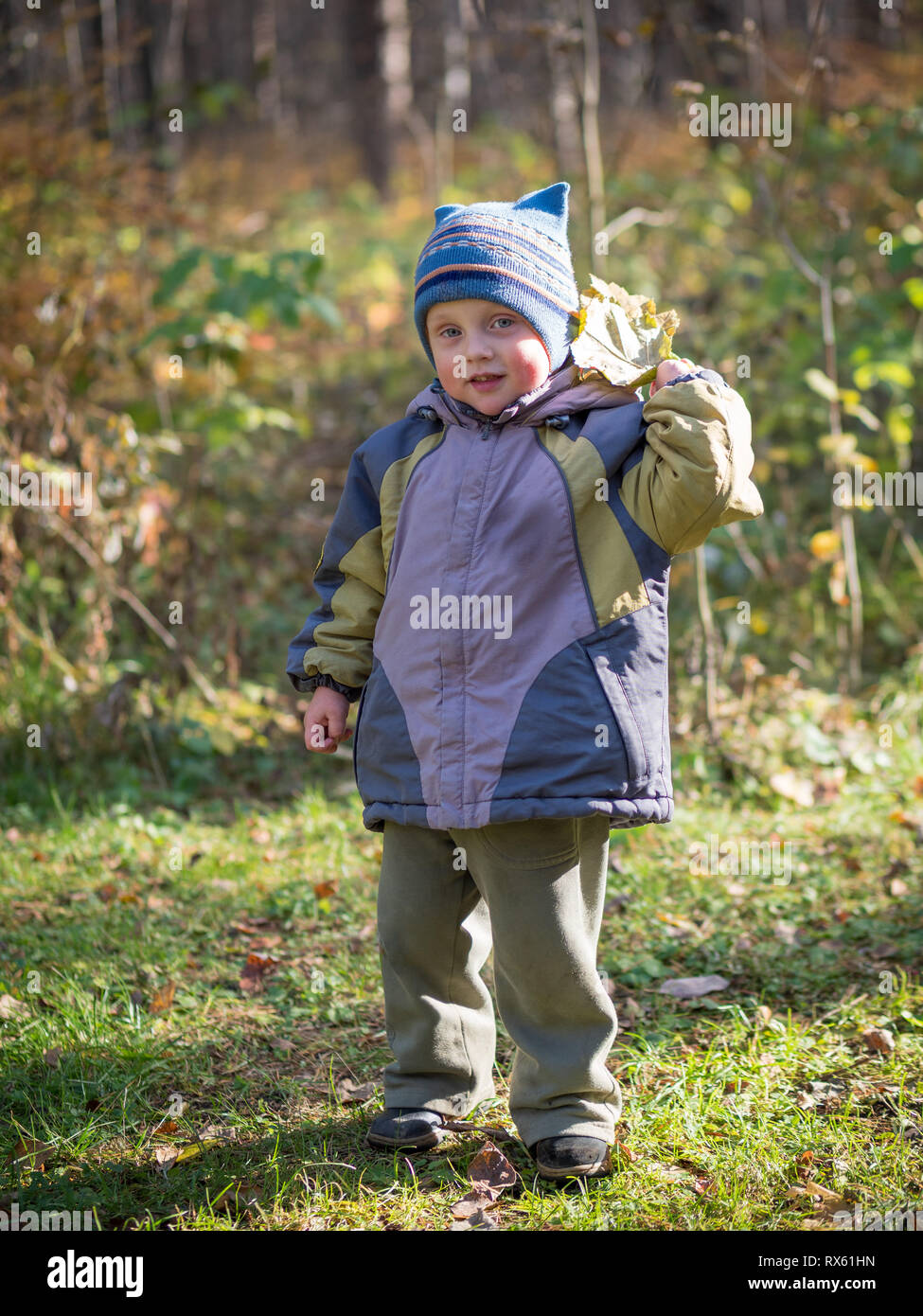 Un Petit Garcon De 3 Ans Jette Feuilles En Automne Park Photo Stock Alamy Un Petit Garcon De 3 Ans Jette Feuilles En Automne Park Photo Stock Alamy