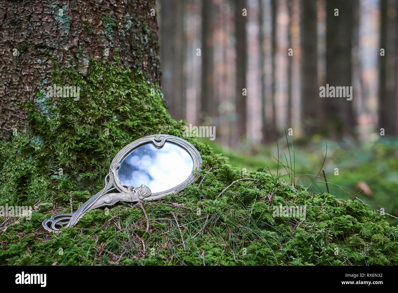 Miroir Art Nouveau à forrest, copyspace Banque D'Images