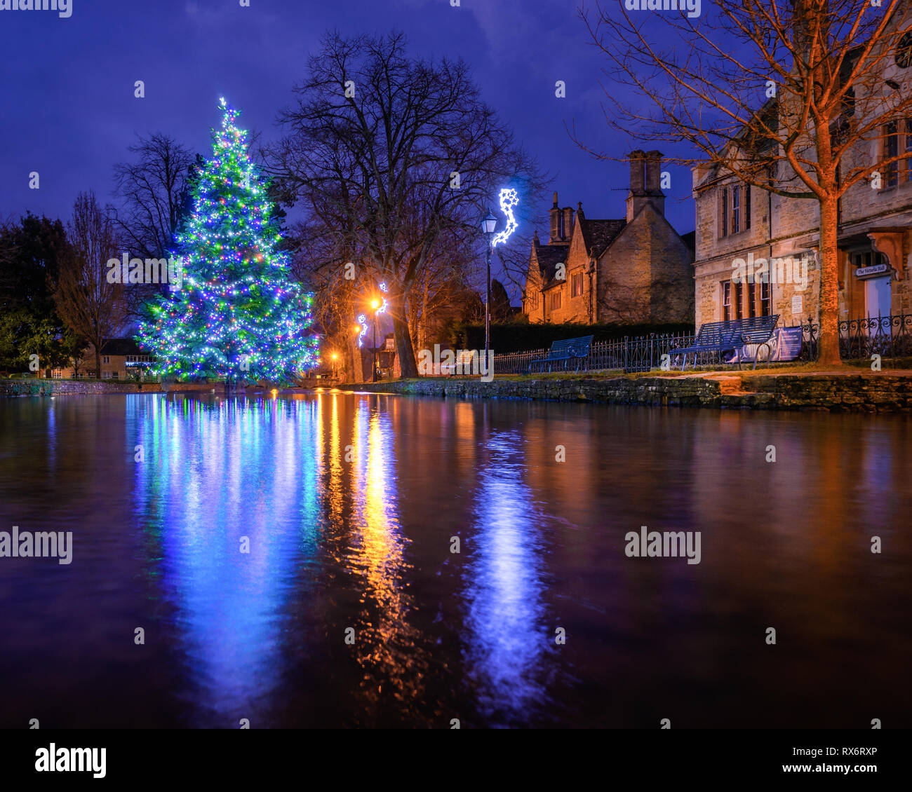 Bourton sur l'arbre de Noël de l'eau dans la rivière Windrush avant le lever du soleil Banque D'Images
