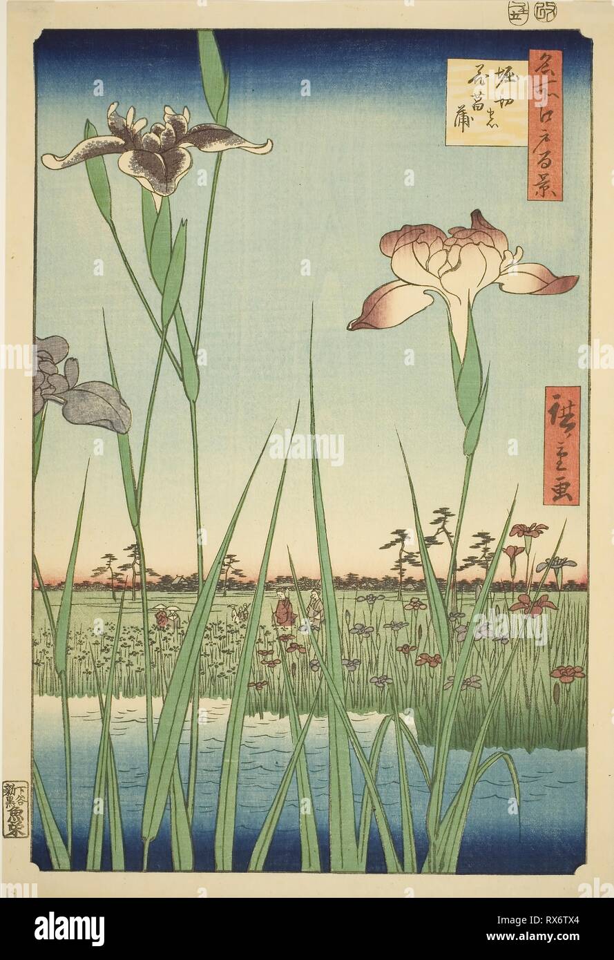 À l'iris (Horikiri Horikiri pas hanashobu), à partir de la série "Cent vues célèbres d'Edo (Edo Meisho hyakkei)'. Utagawa Hiroshige ? ?  ? ? ; Japonais, 1797-1858. Date : 1857. Dimensions : 36 x 24,5 cm (14 3/16 x 9 5/8 in.). Gravure sur bois en couleur ; Oban. Origine : Japon. Musée : le Chicago Art Institute. Auteur : Utagawa Hiroshige. publié par Uoya Eikichi Hiroshige Utagawa I. Banque D'Images