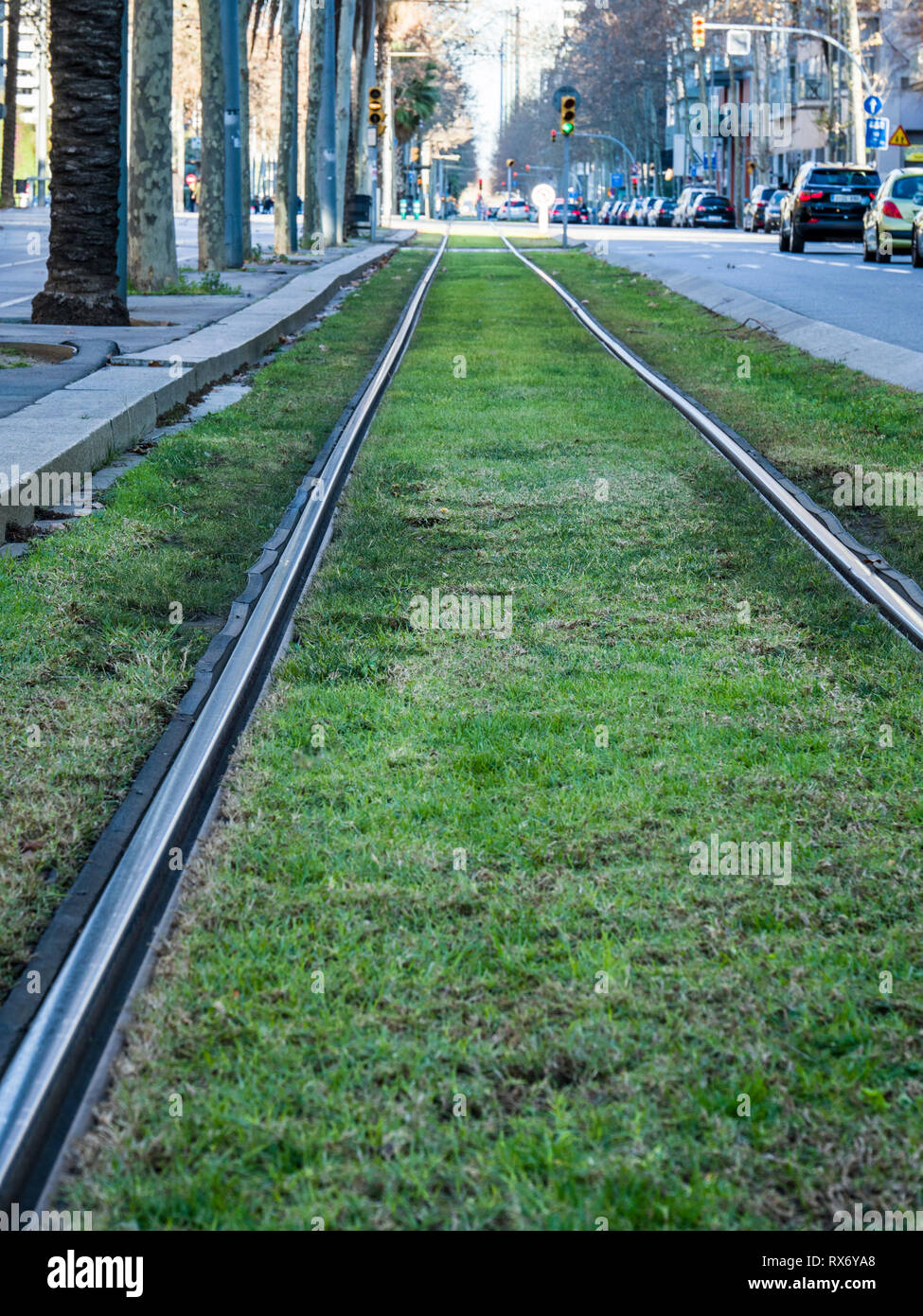 La ligne de tramway dans la ville, Barcelone, Catalogne, Espagne, Europe Banque D'Images