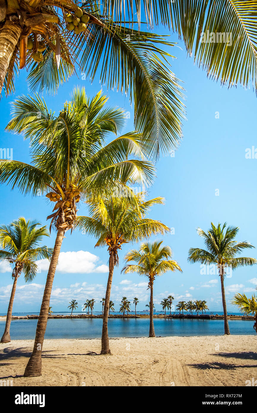 La plage ronde à Matheson Hammock Park Comté Miami Floride Banque D'Images