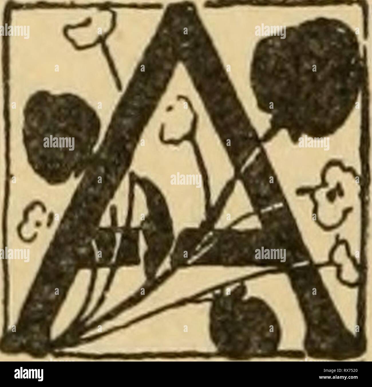 Faits et les fantaisies sur des oeufs Banque D'Images