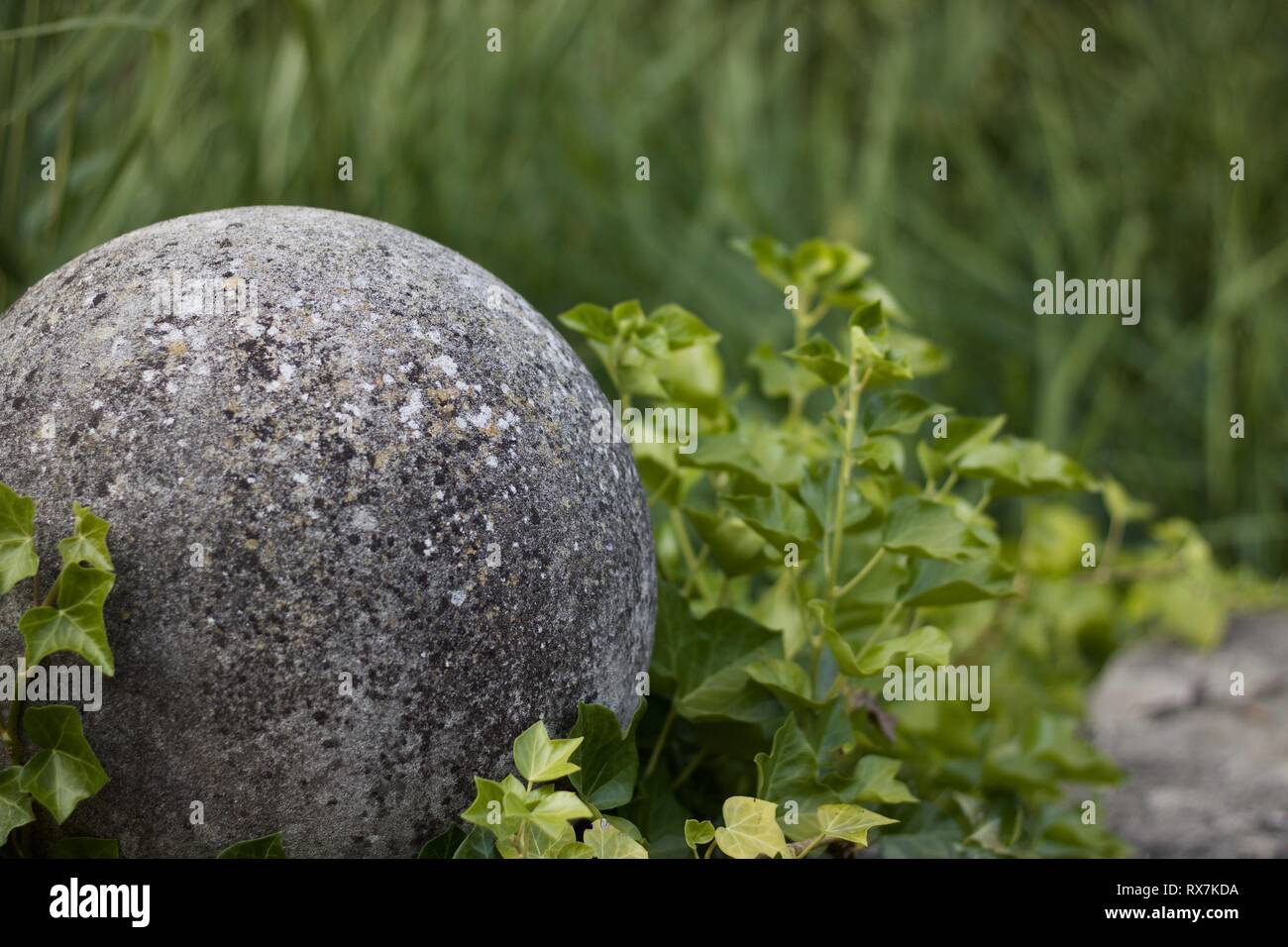 Pierre gris balle contre soft green background in garden Banque D'Images