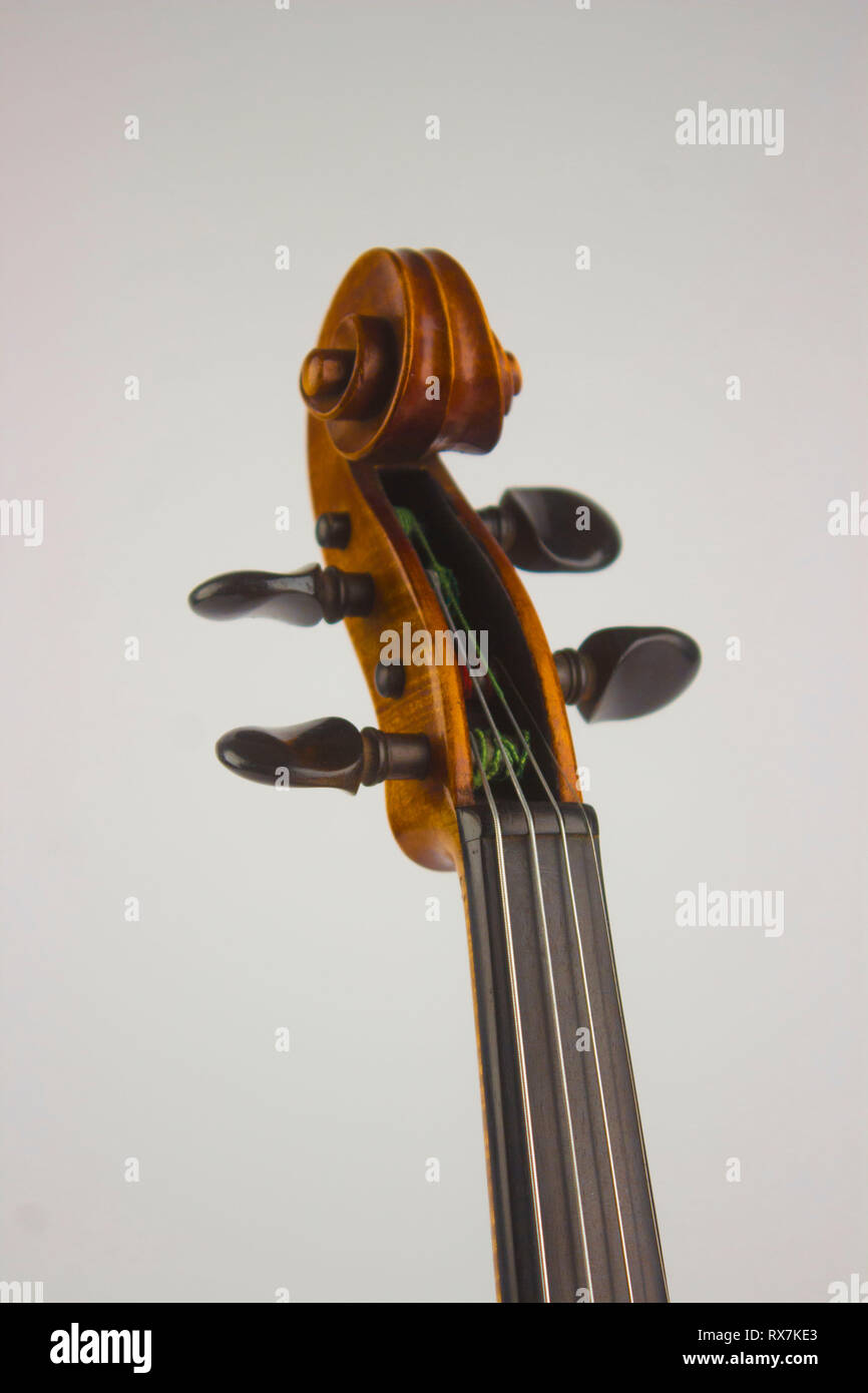 La photographie de studio d'un violon 1920. Banque D'Images