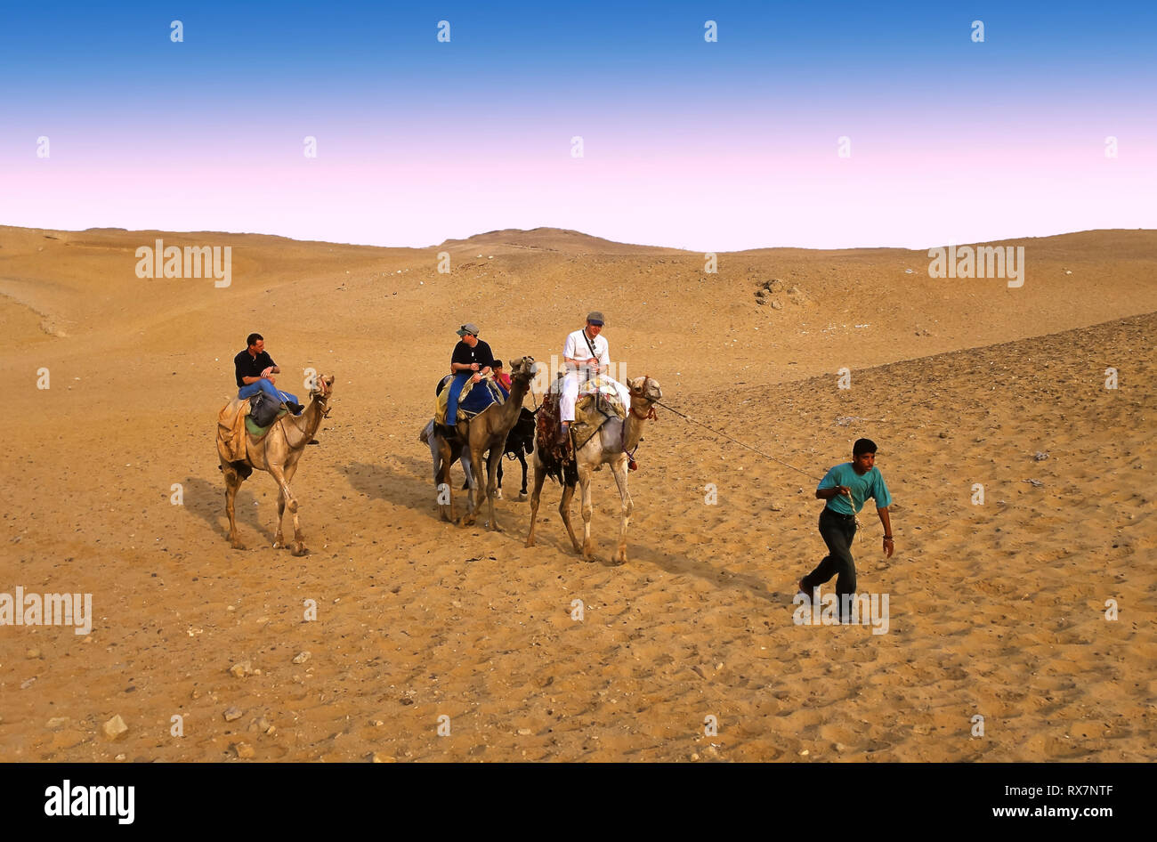 Désert et les touristes. Gizeh. Le Caire. L'Égypte. L'Afrique. Banque D'Images