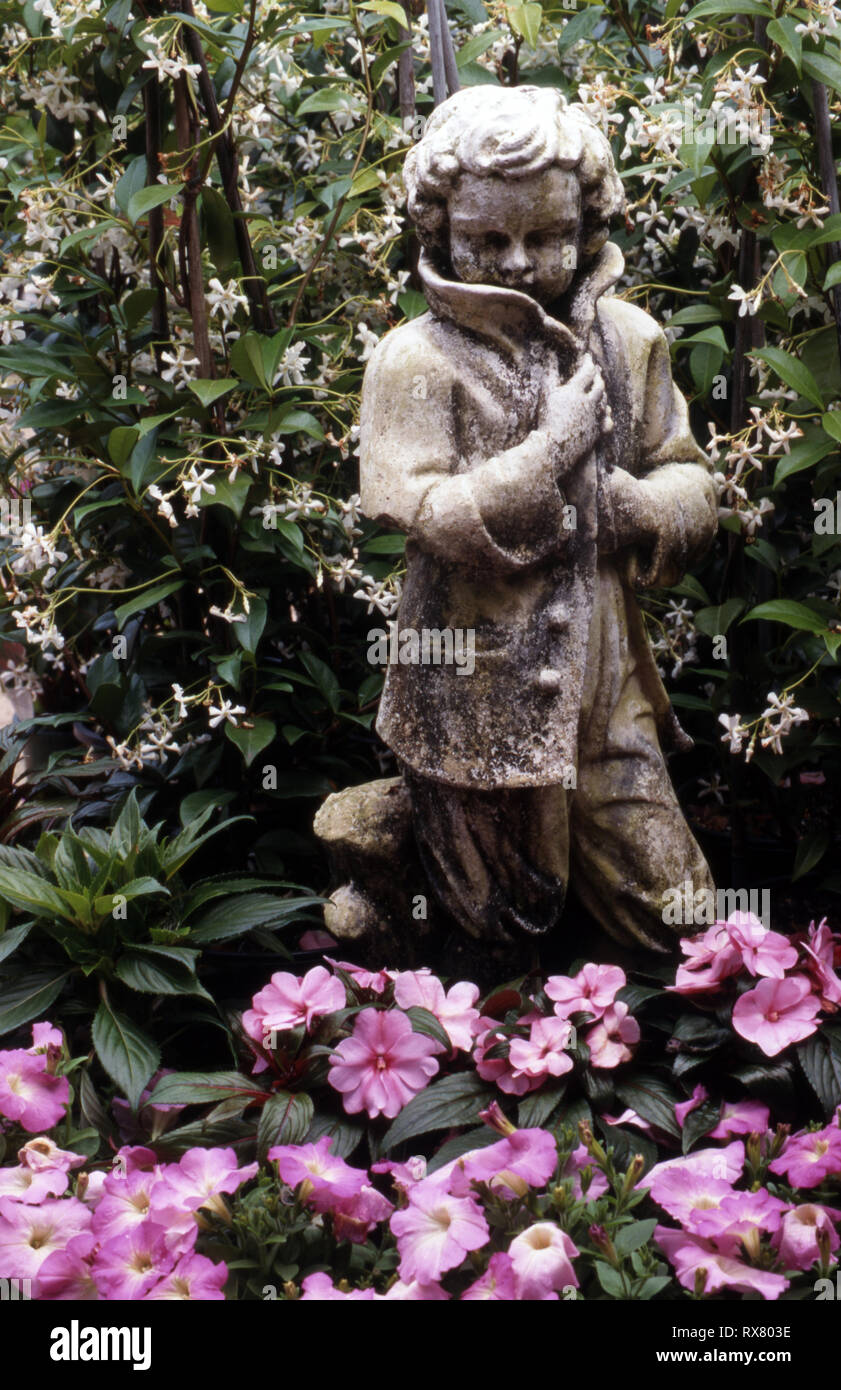 STATUE DU GARÇON D'HIVER DEVANT LE JASMIN ÉTOILÉ (TRACHELOSPERMUM JASMINOIDES) AVEC DES IMPATIENS ROSE ET DES PÉTUNIAS AU PREMIER PLAN. AUSTRALIE. Banque D'Images