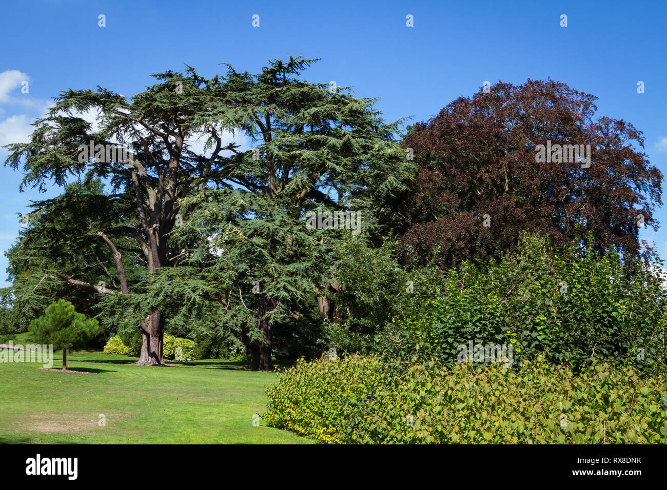 Sandringham House Gardens et 20 000 hectares, maison privée de sa Majesté la Reine Elizabeth II à Sandringham .Angleterre Norfolk Banque D'Images