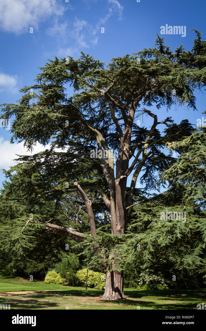 Sandringham House Gardens et 20 000 hectares, maison privée de sa Majesté la Reine Elizabeth II à Sandringham .Angleterre Norfolk Banque D'Images