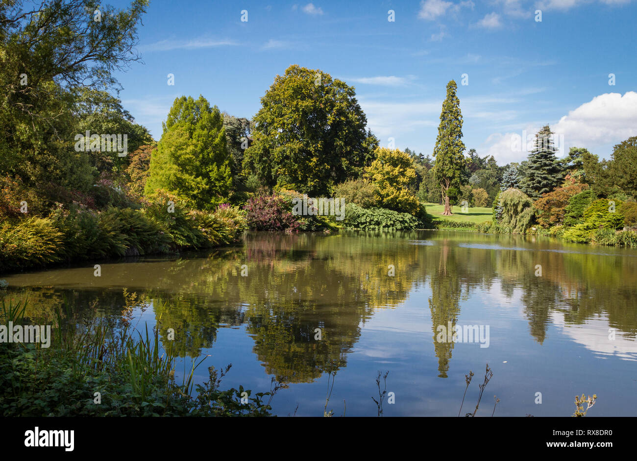 Sandringham House Gardens et 20 000 hectares, maison privée de sa Majesté la Reine Elizabeth II à Sandringham .Angleterre Norfolk Banque D'Images