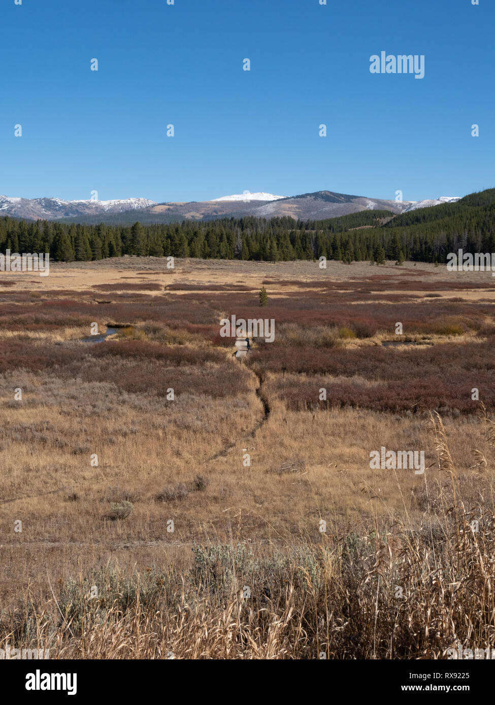 Un sentier à travers la végétation d'automne avec un pont de bois sur un ruisseau sinueux avec une montagne en arrière-plan. Banque D'Images