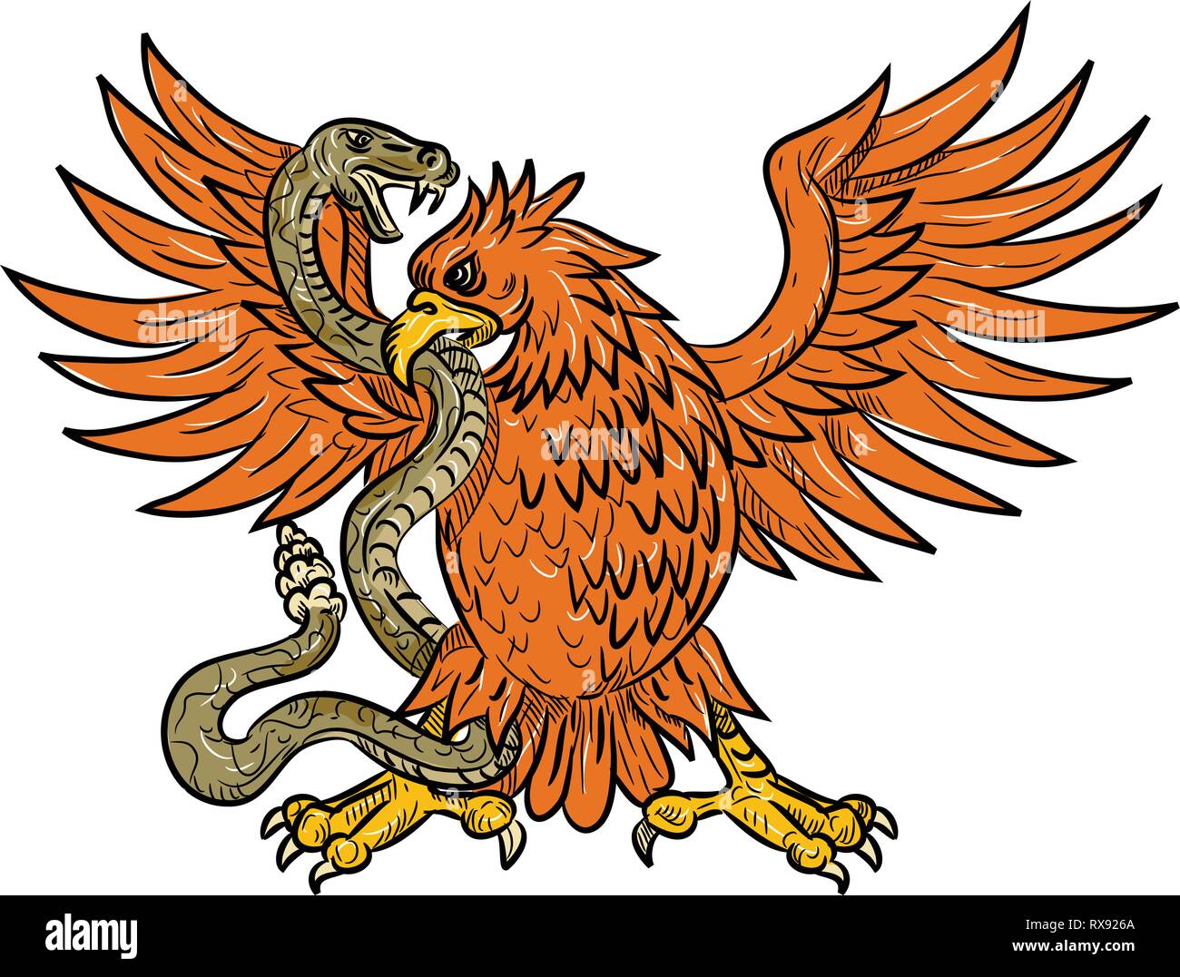 Style croquis dessin illustration d'un American golden eagle, l'aigle mexicain ou du nord caracara huppé aux prises un crotale, serpent, vipère ou ser Illustration de Vecteur